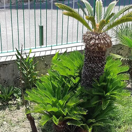 Appartamento Angela Casa Vacanze Monte di Procida